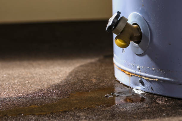 Best Fire Damage Restoration  in Becker, MN