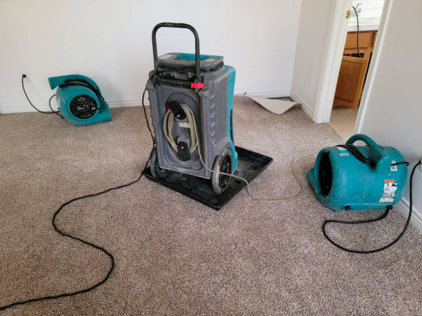 Best Flood damage cleanup  in Becker, MN