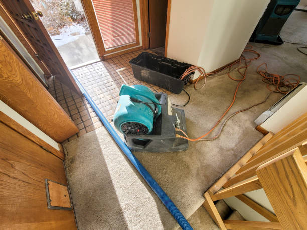 Best Ceiling water damage repair  in Becker, MN