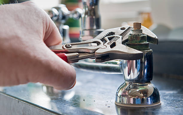 Best Mold removal after water damage  in Becker, MN