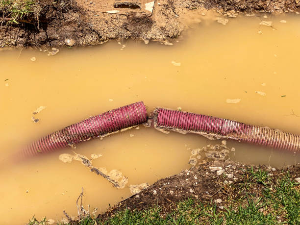 Best Basement water damage restoration  in Becker, MN
