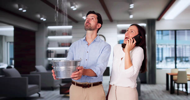 Best Ceiling water damage repair  in Becker, MN